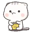 cute pet
