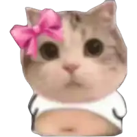 cute pet